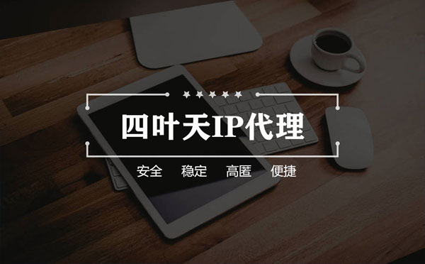 【商丘代理IP】如何快速搭建代理IP？怎么检查代理的效果？